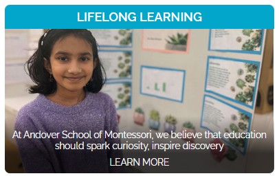 Lifelong Learning